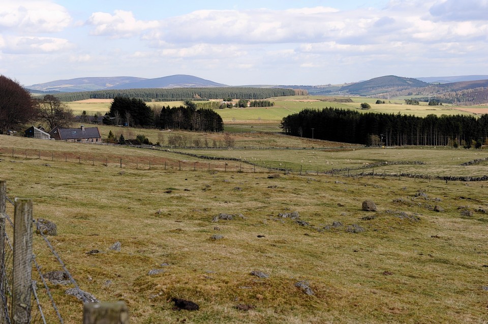 Windfarm planning rejection prompts threat from hill farmer