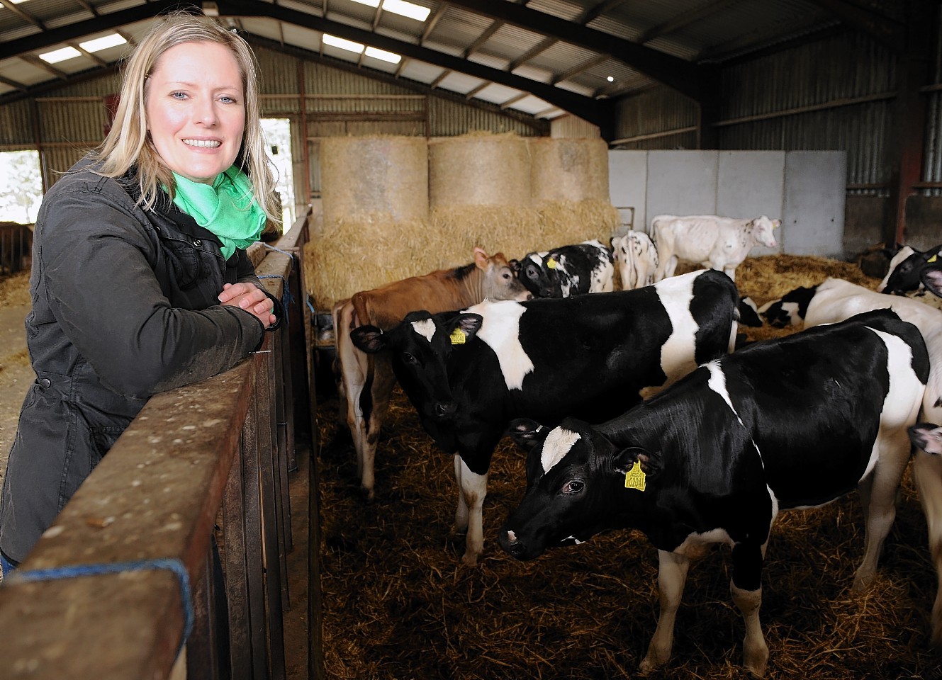 Jo Mackenzie: Shop mooves and new faces at the Black Isle Dairy