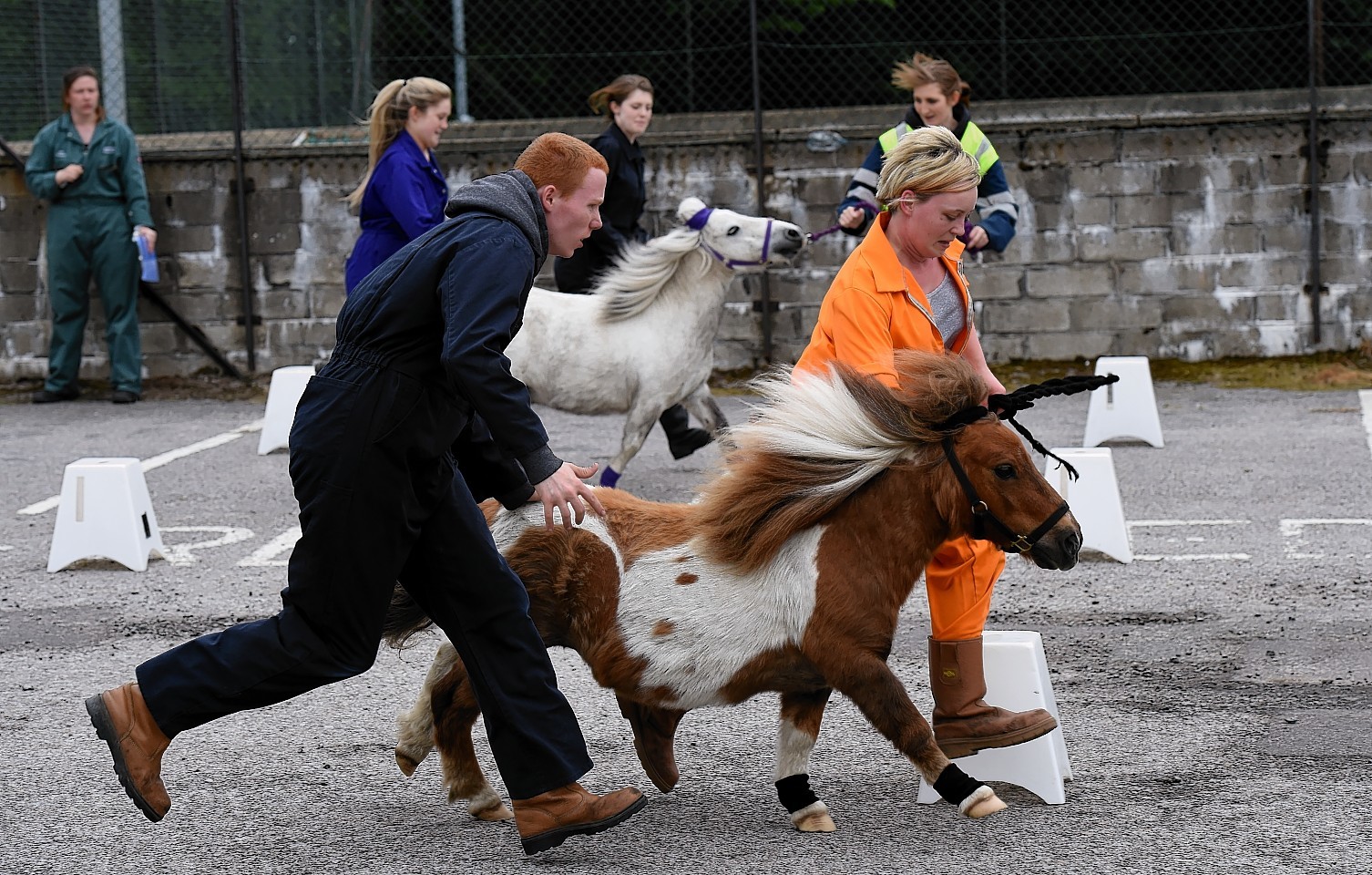 First ever pony Olympics hits the north east