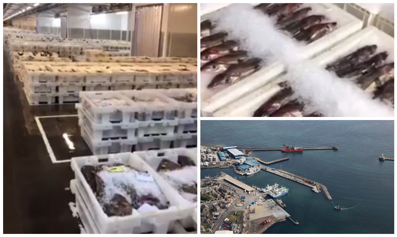 VIDEO: Record landing at north-east fish market as trawlers take in £ ...