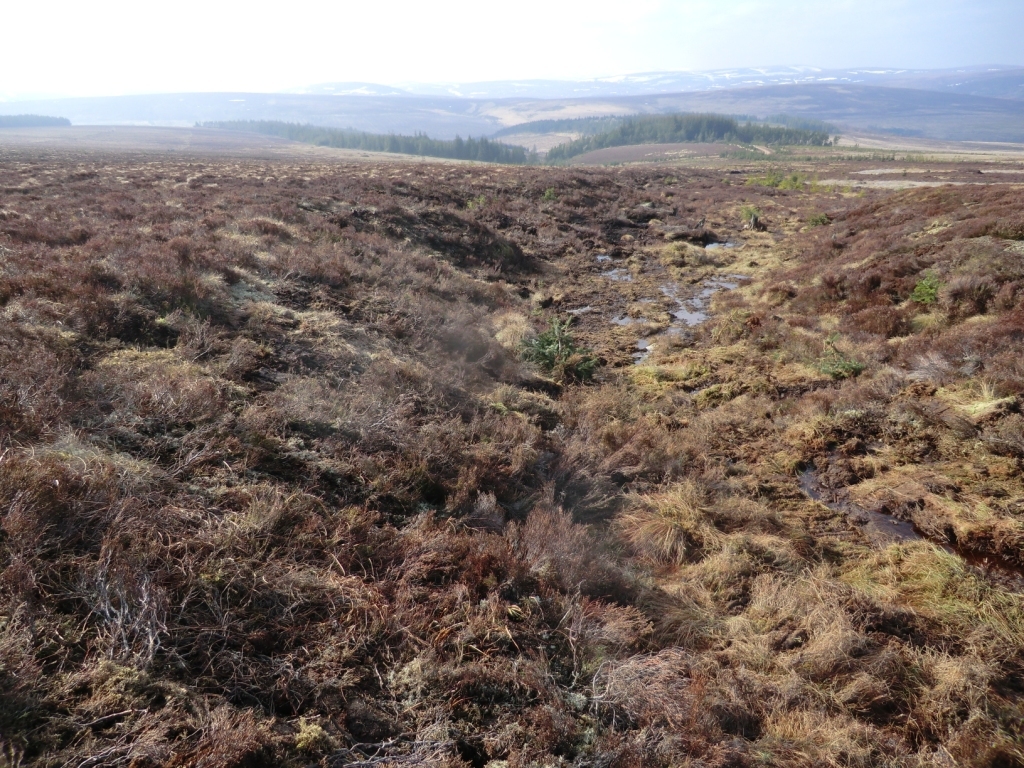 First UK-wide peatland preservation strategy unveiled