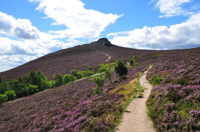 The Best Hikes Across Aberdeenshire, For Avid Munro-baggers Or Keen ...