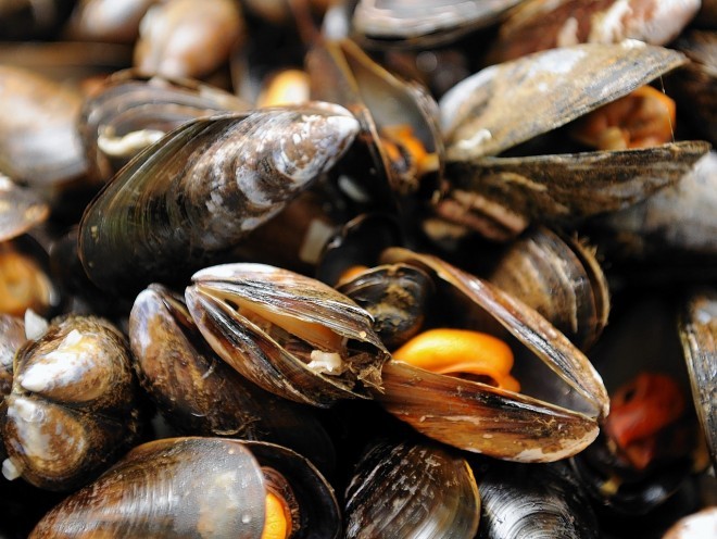 Scottish shellfish and farmed fish are in the spotlight in Aviemore