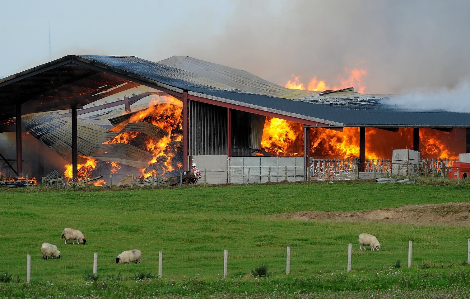 VIDEO: Firefighters rush to huge barn fire near Inverness ...