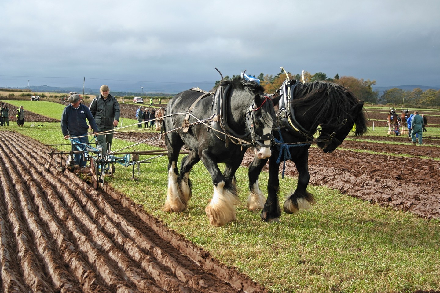 Plough