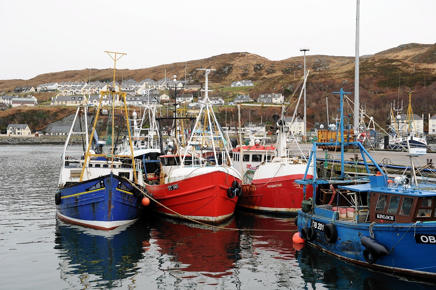 Fishing Industry On A High Driven By Better Prices And A Weak