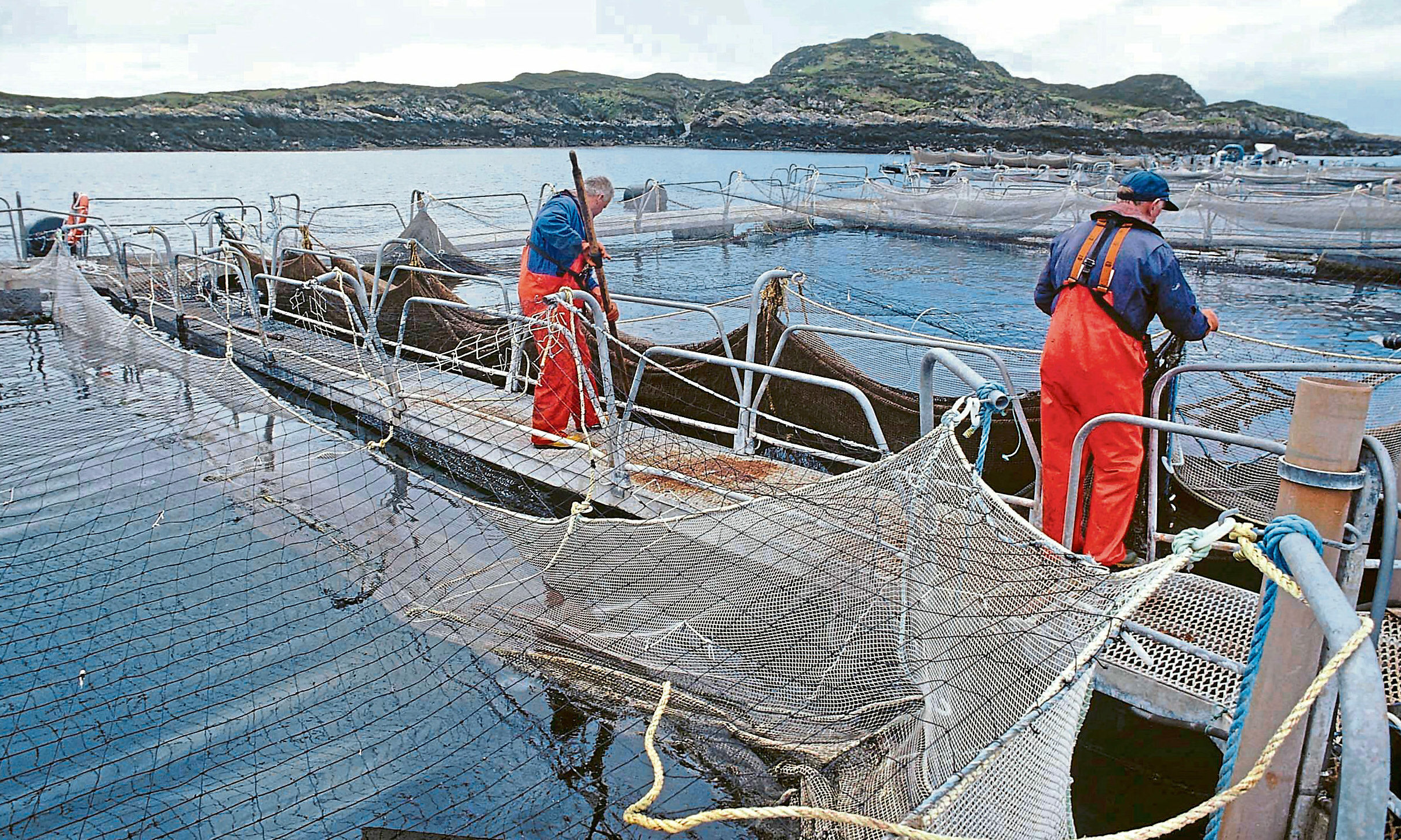 Salmon farms survey shows majority support from those living nearby