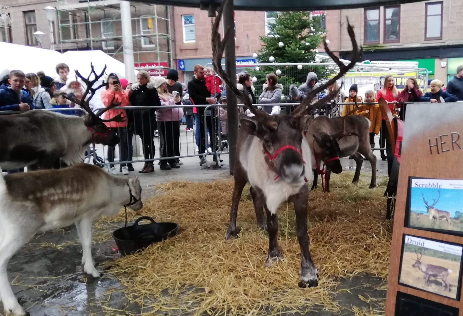 organisers of peterhead christmas event plan to bring the festivities online