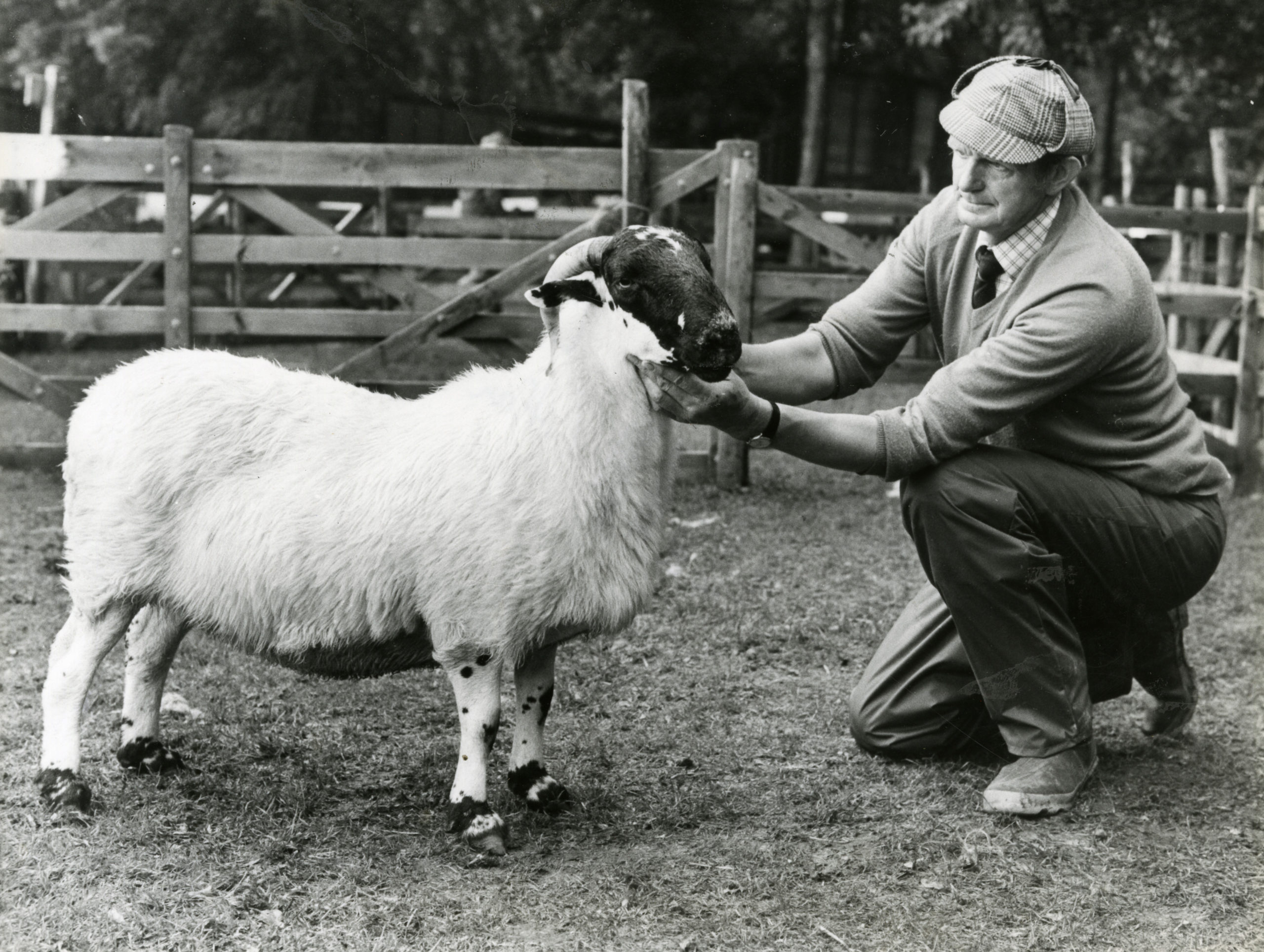 Video: Aberdeen school buildings through the years