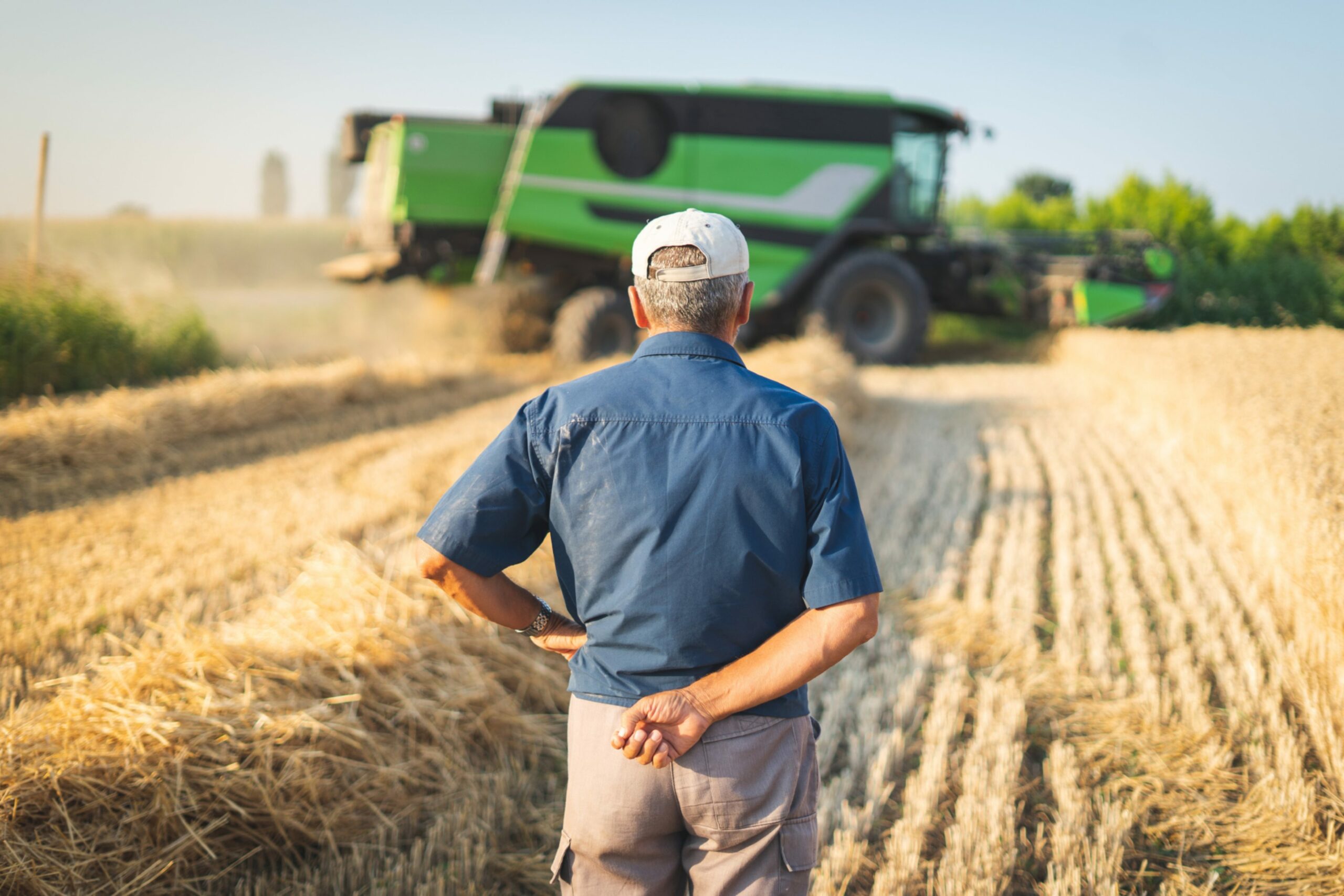 English farmers offered exit payments of up to £100k to retire from ...