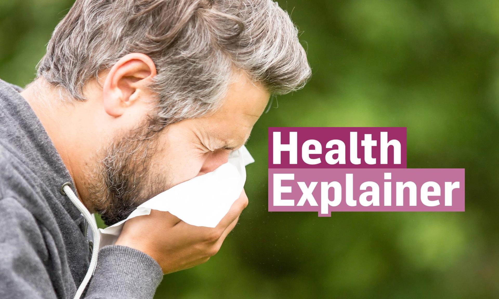 Health Explainer: Everything you need to know about hay fever