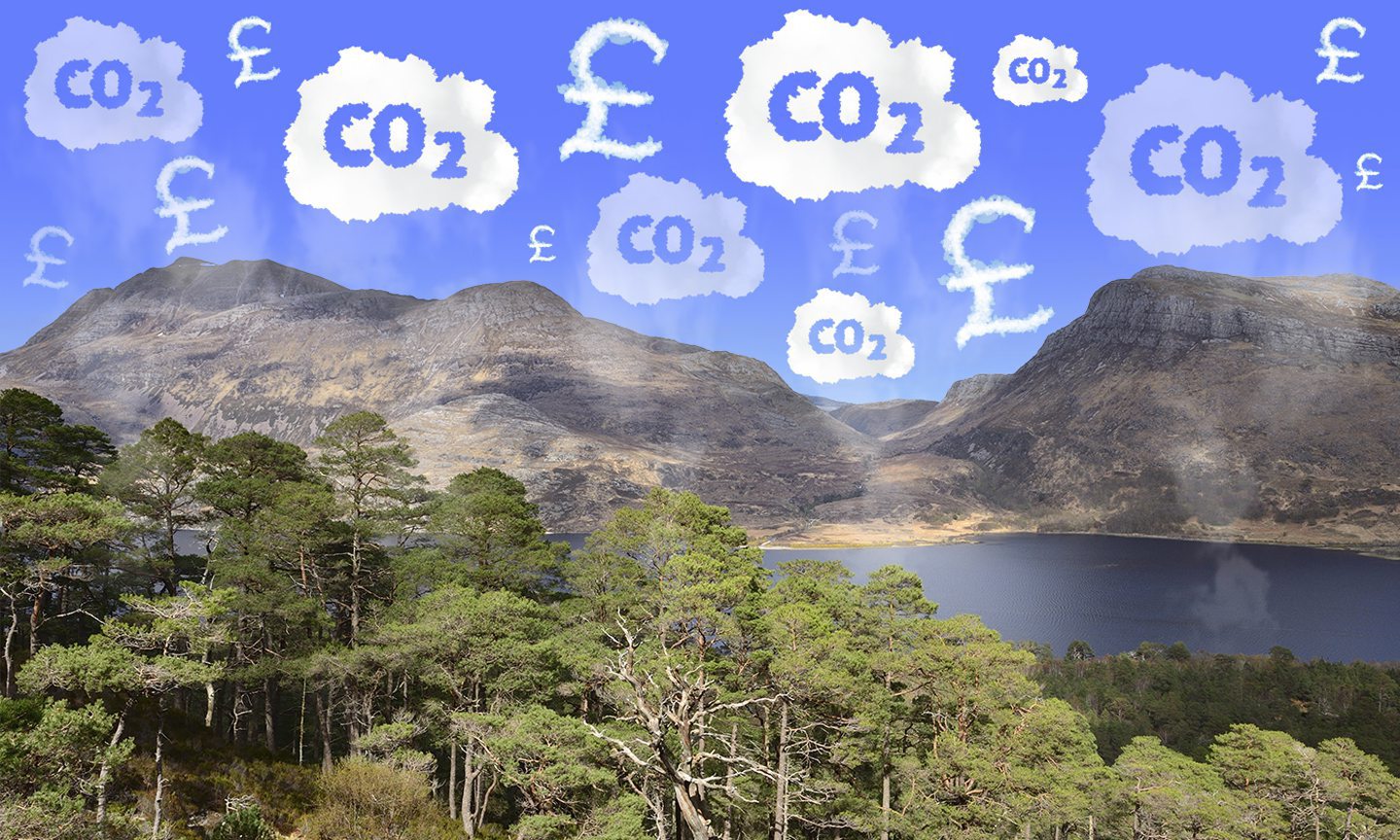 Green Lairds? Carbon Credits? Your Guide To Scottish Carbon Capture