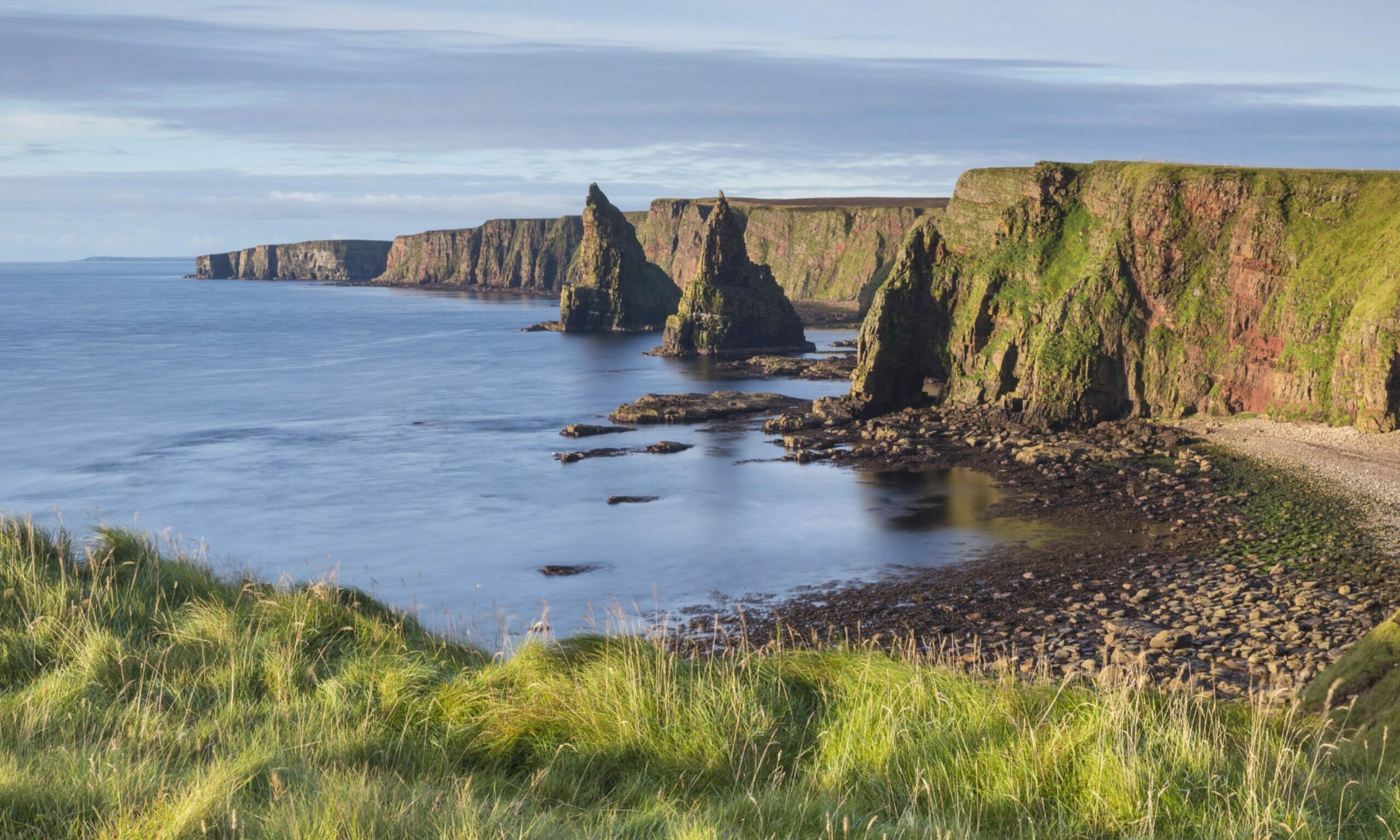 A friendly welcome awaits in Caithness - and that's just the alpacas!