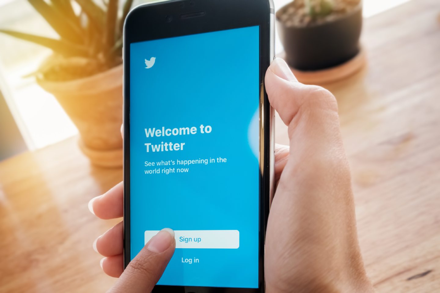 Twitter Polls Aren't Data Journalism - Everyone Must Understand The ...