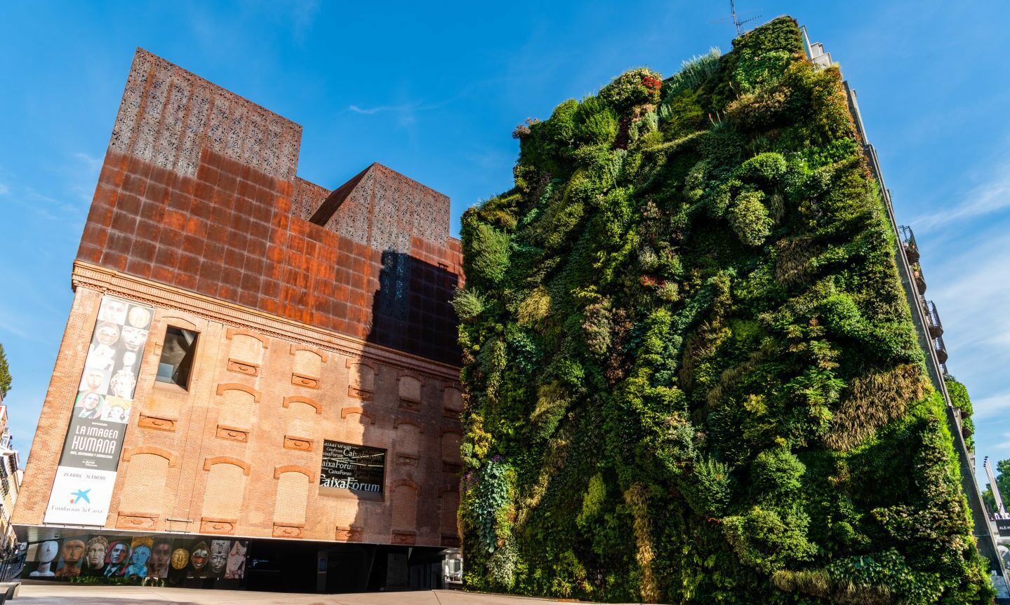 What happened to plans for Aberdeen's living wall?