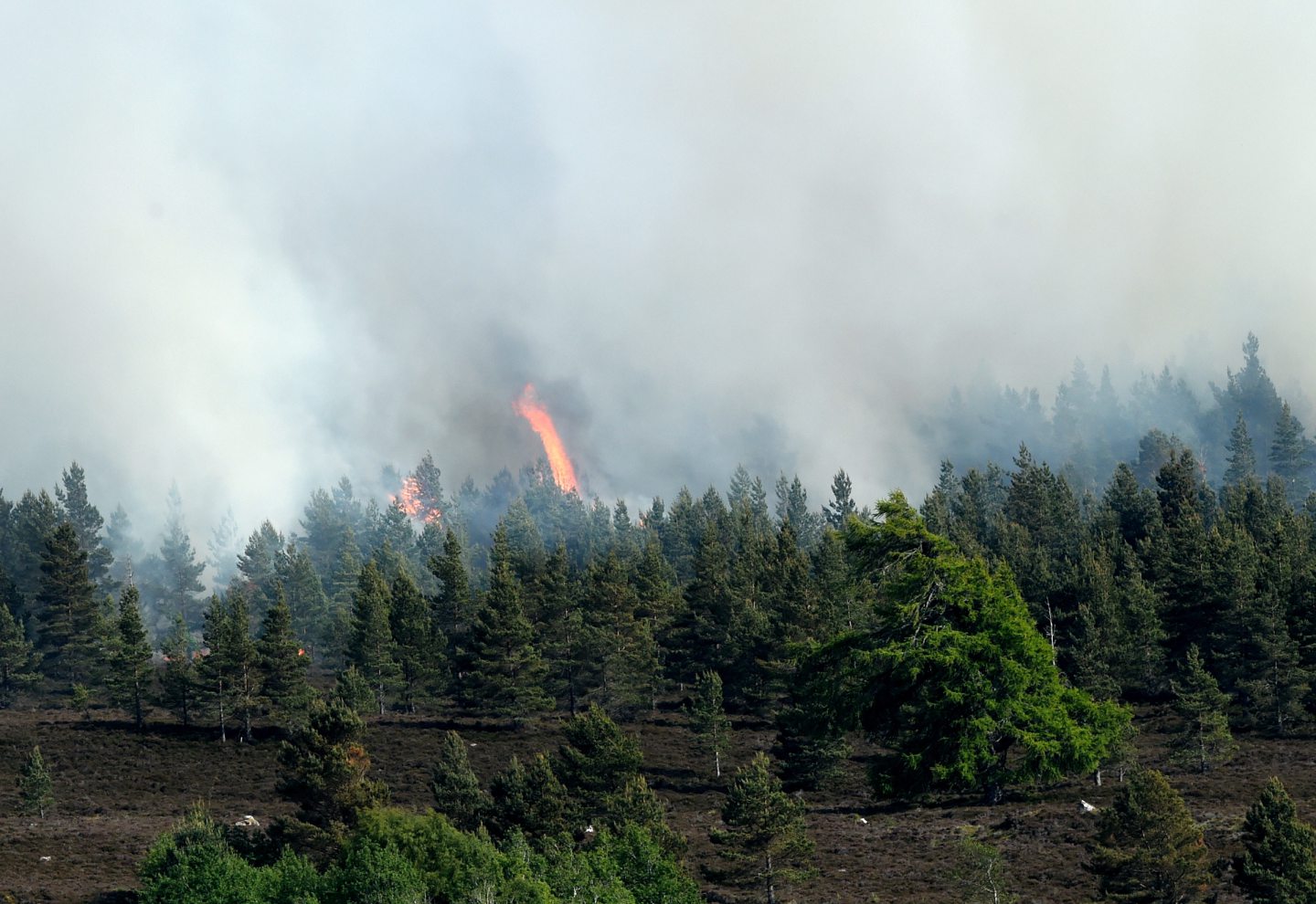 Firefighting efforts in Daviot draw to a close after seven days