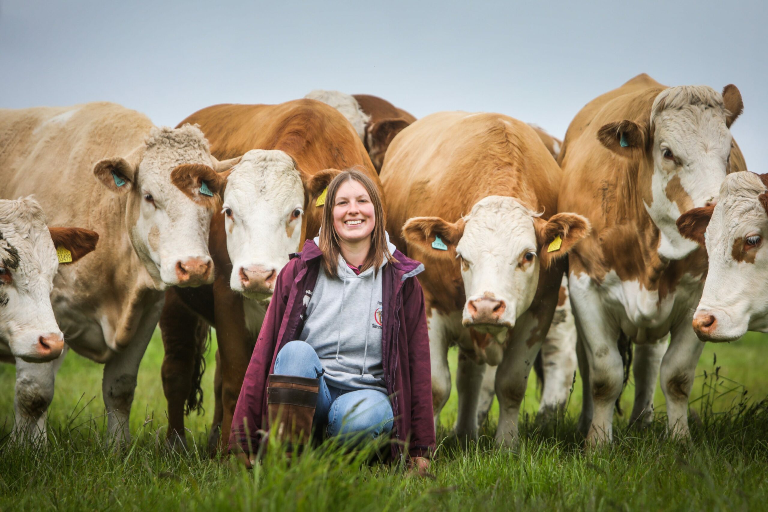 Brechin Simmental breeder to judge at Borderway Agri Expo