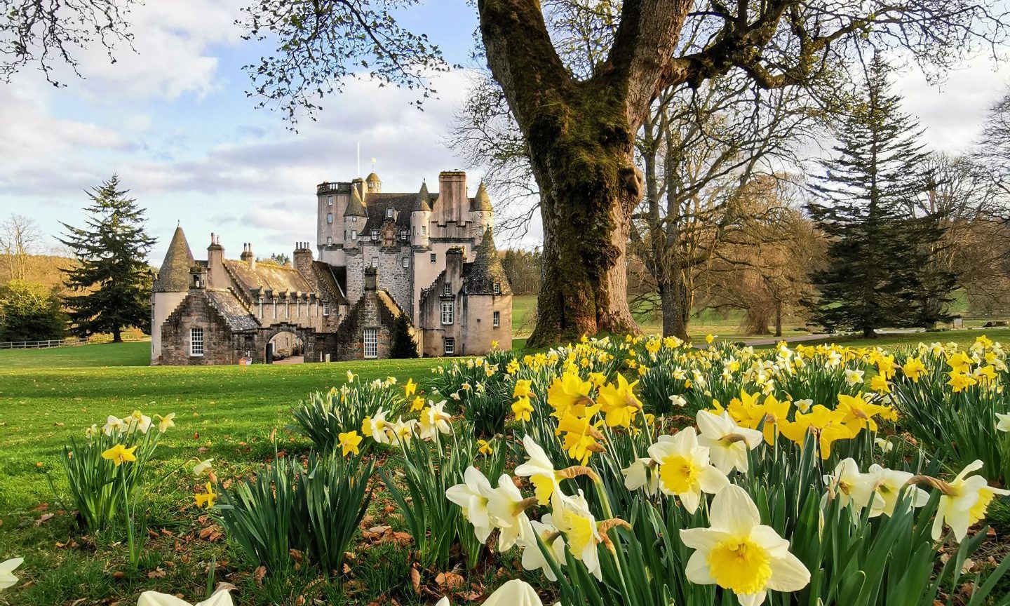 11 best places to see snowdrops and daffodils in north north east