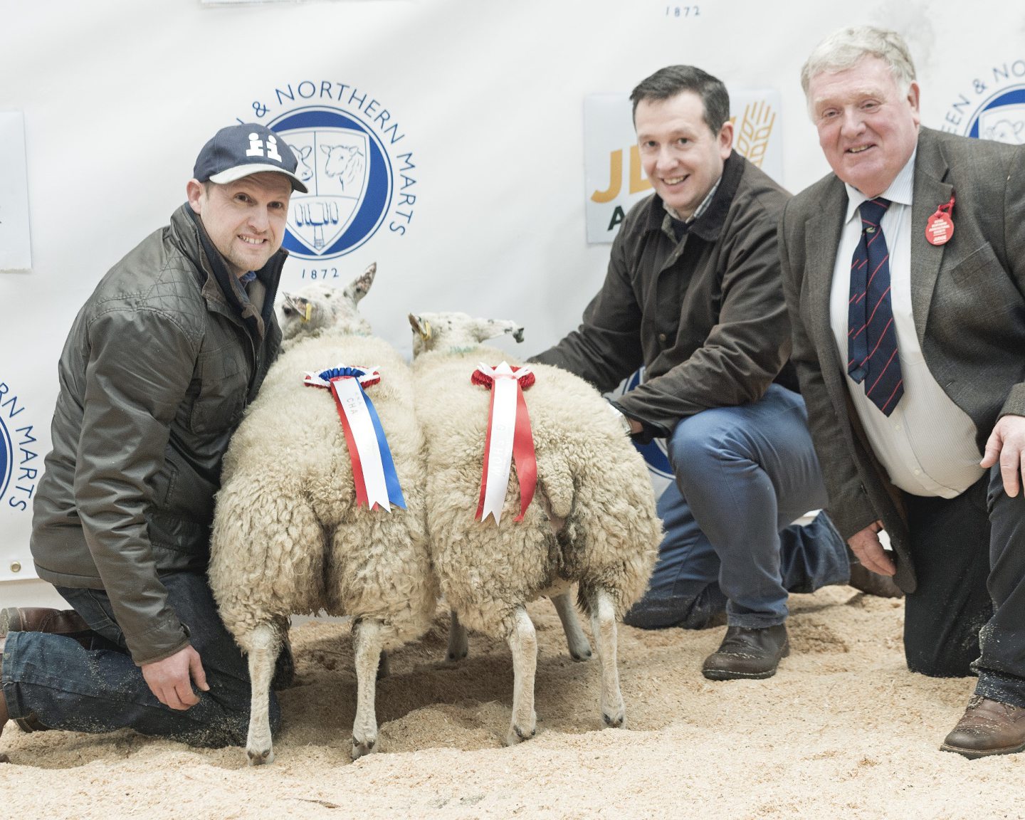 RNAS Spring Show: Sheep Park Farms and Cairness top sheep awards