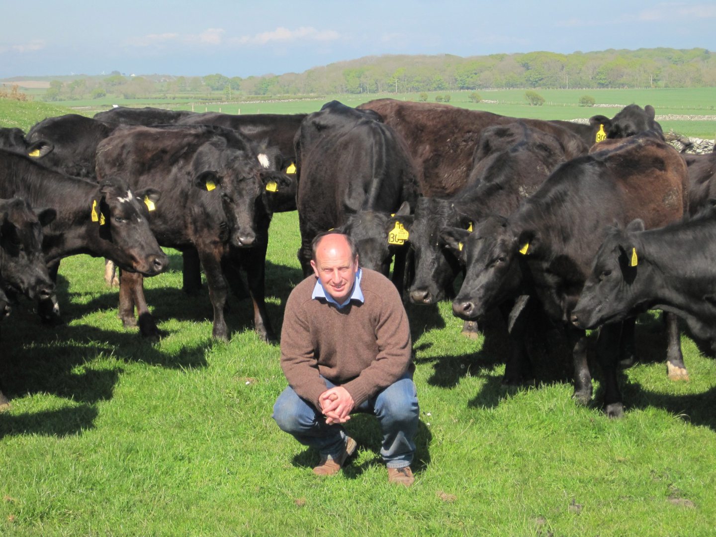 Urgent call from Scottish Tenant Farmers Association to review Land Reform Bill