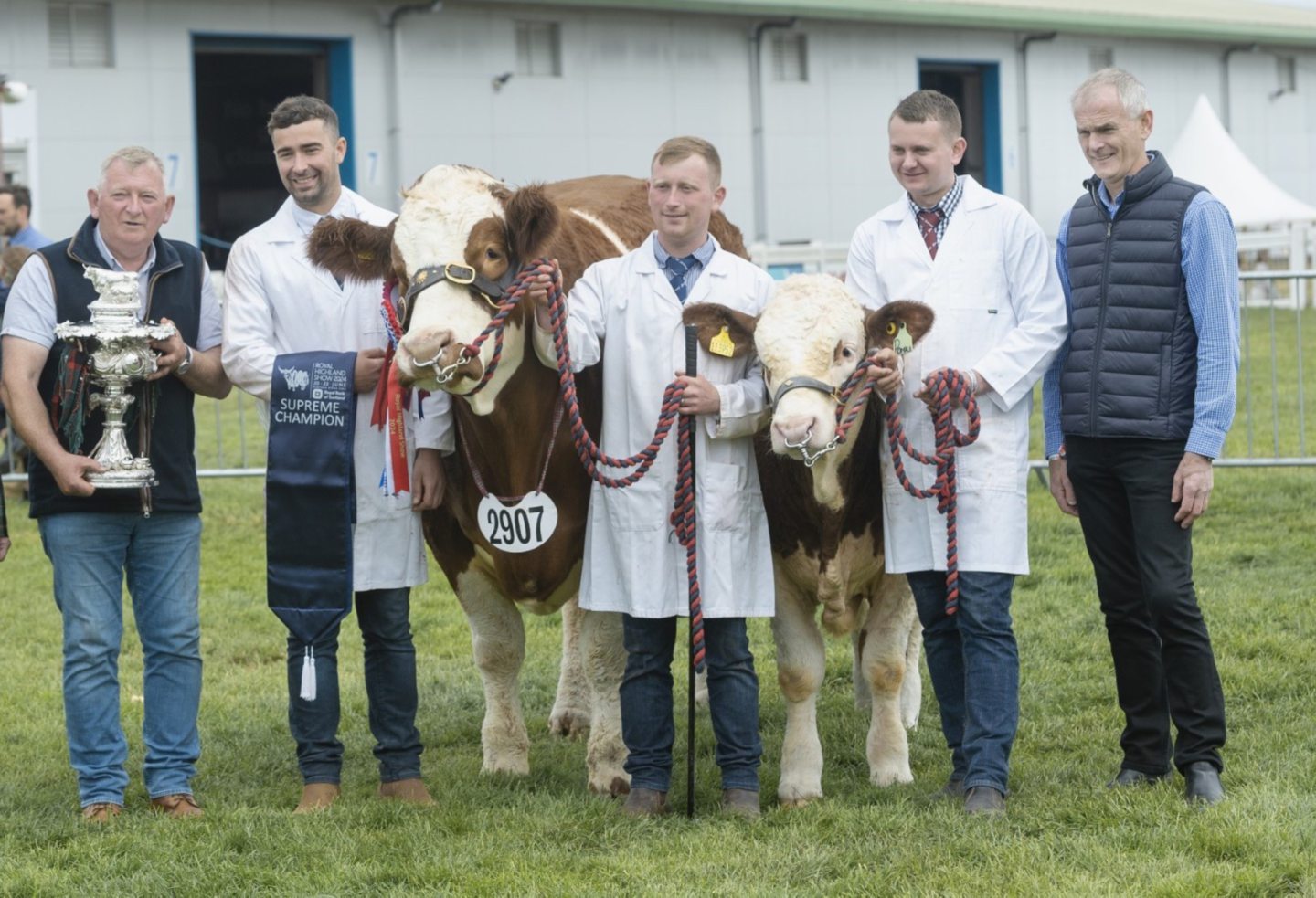 Simmers family win overall beef championship at Royal Highland Show