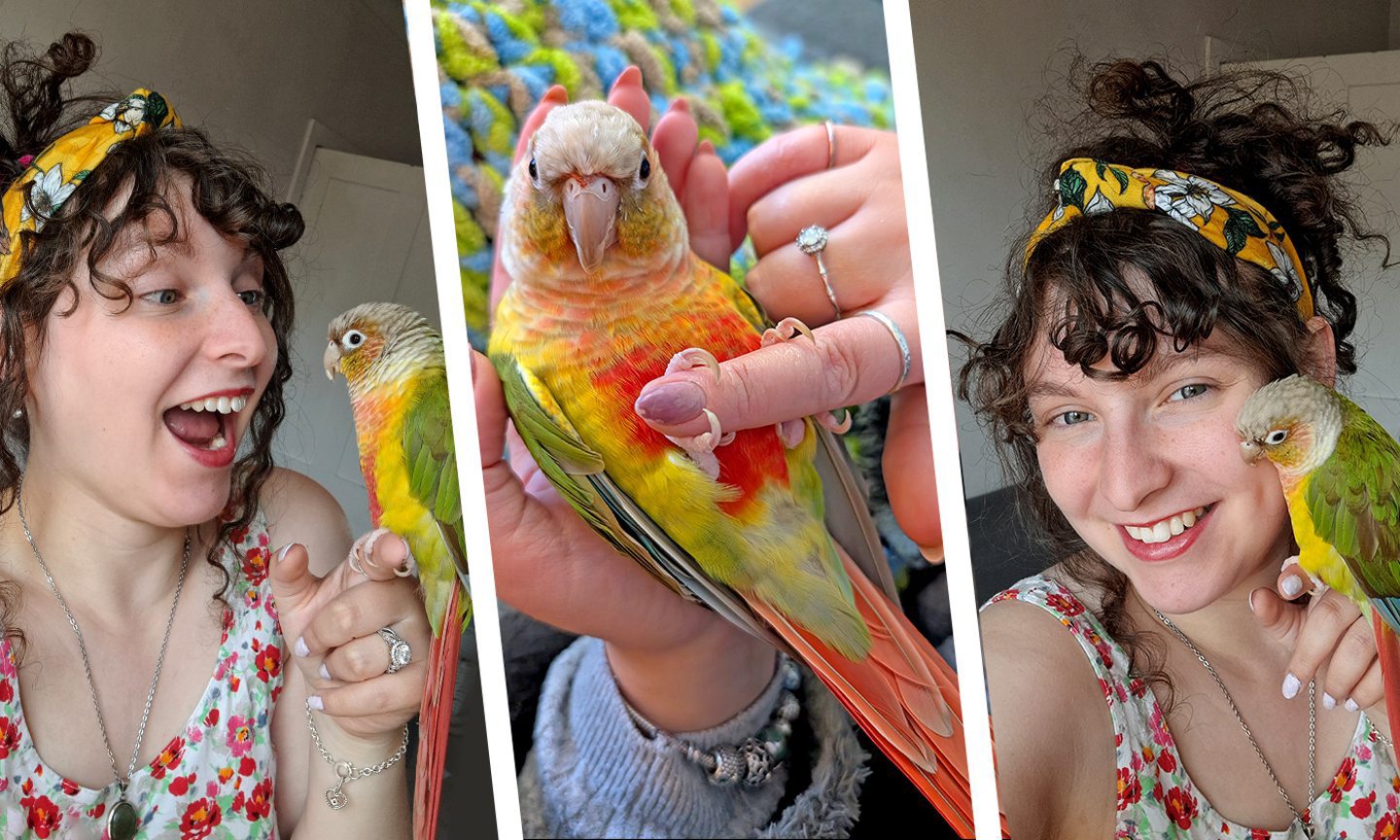 How a dream led Aberdeenshire parrot owner to Tofu