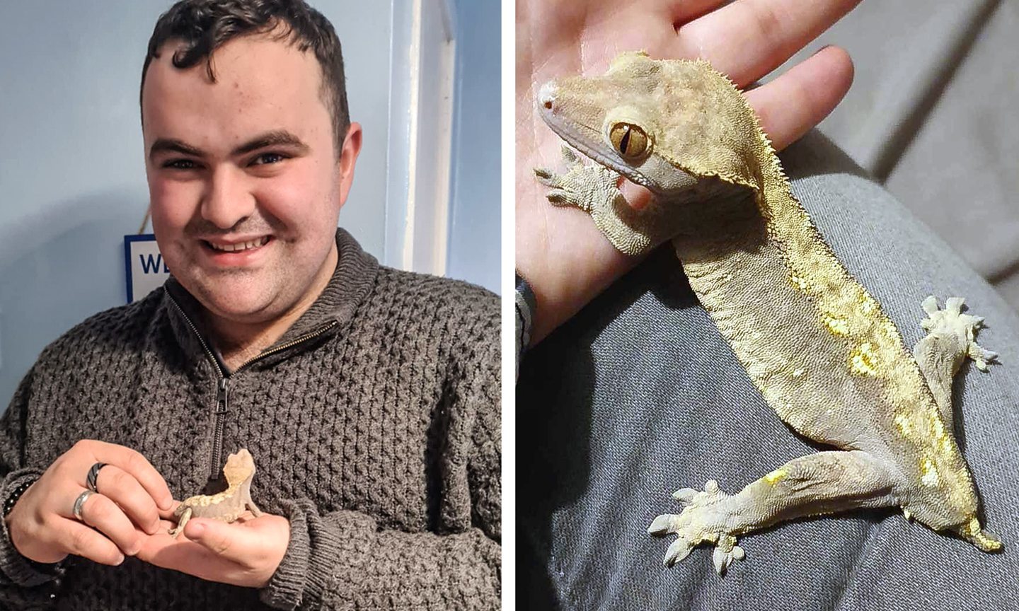 Aberdeen owner shares funny memory with crested gecko, Ziggy