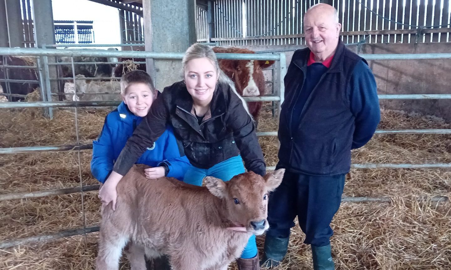 Newborn Caithness calf started life 50 years ago