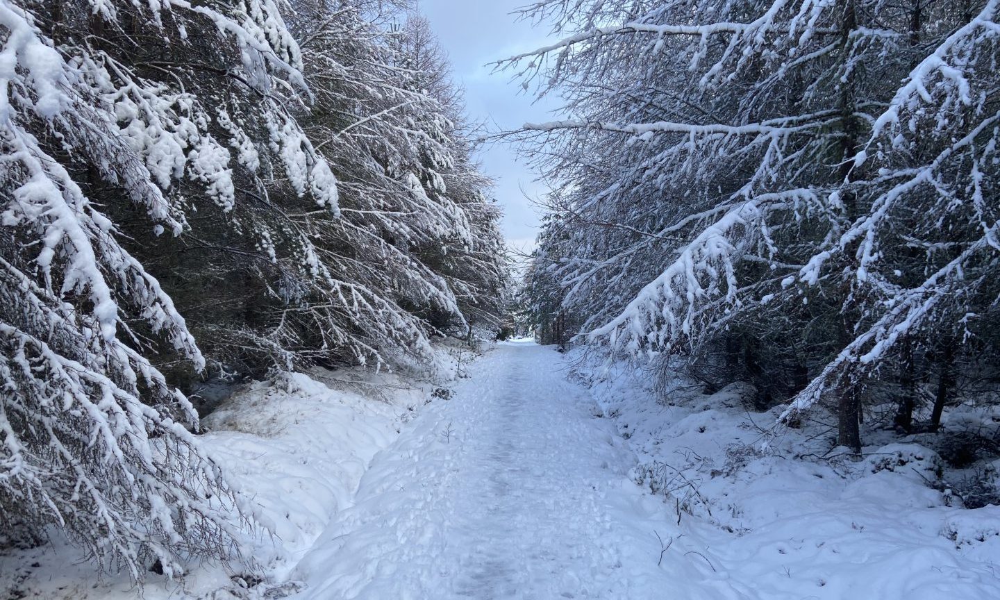 Five of the best winter running trails near Inverness