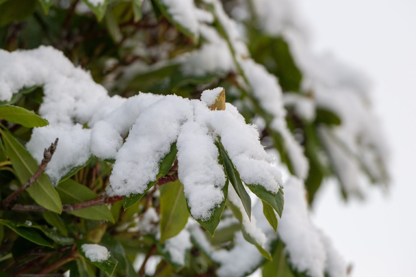 Flood alerts due to rapid snow melt in the north and north-east